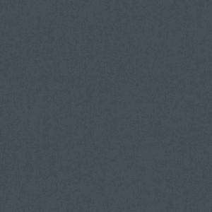 Dark gray textured background.