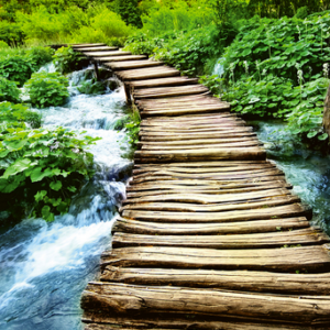 Wooden path alongside a tranquil stream.