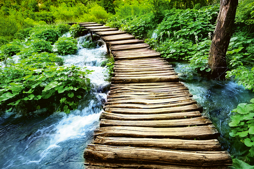 Wooden path alongside a tranquil stream.