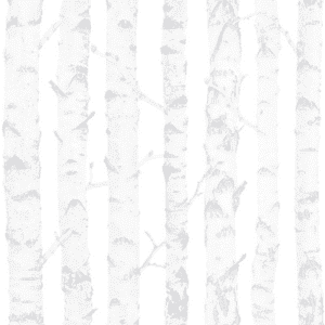 White birch tree bark pattern.