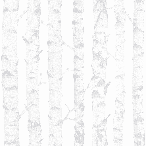 White birch tree bark pattern.