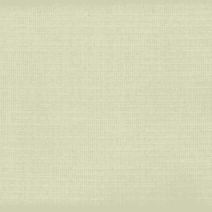 Pale green textured background.