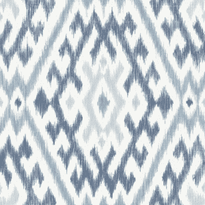 Blue and white ikat textile pattern.