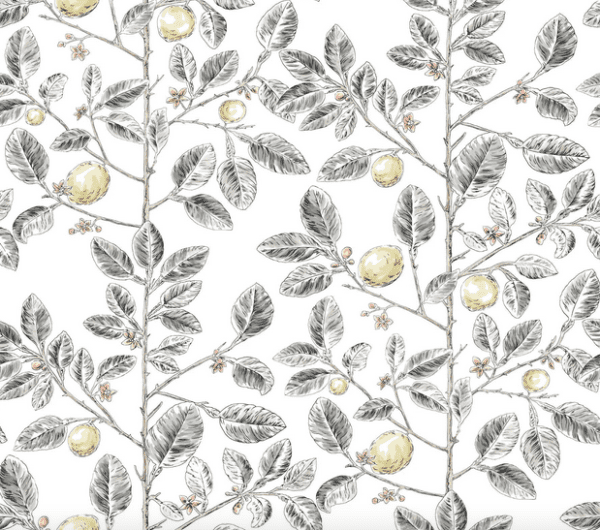 Lemon tree branch pattern background.