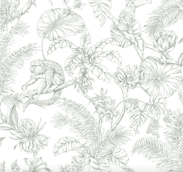 Sage green monkey tropical print.