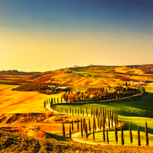 Tuscan countryside, cypress trees, sunset.