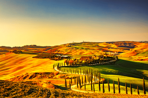 Tuscan countryside, cypress trees, sunset.