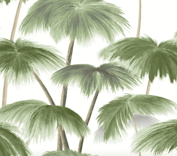 Sage green palm tree wallpaper.