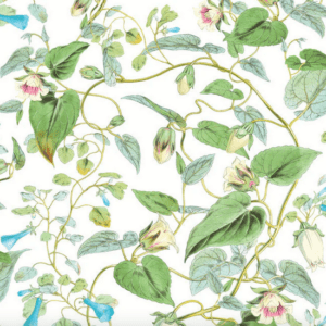 Floral vine pattern, green leaves, white background.