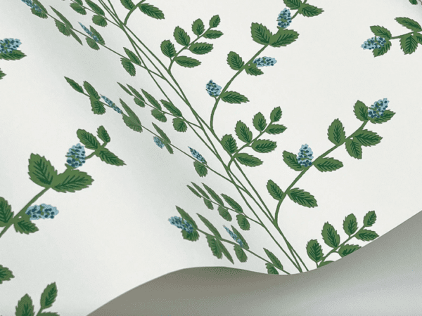 Green leaf and blue berry wallpaper.