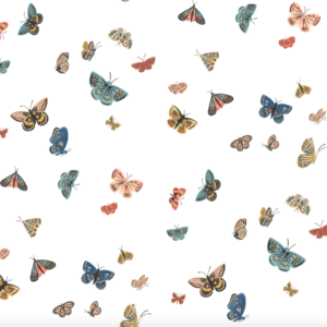 Colorful butterflies on white background.