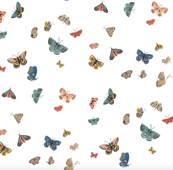 Colorful butterflies on white background.