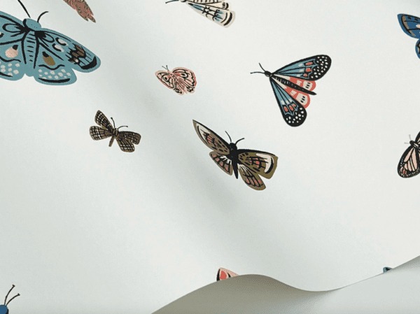 Colorful butterflies on white background.