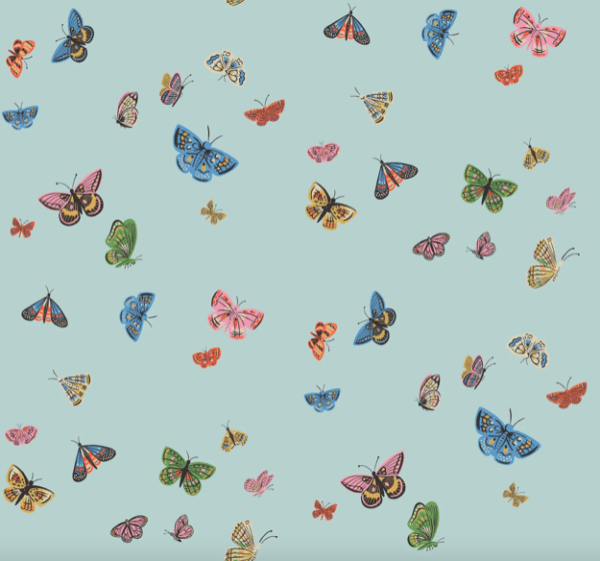 Colorful butterflies on light blue background.