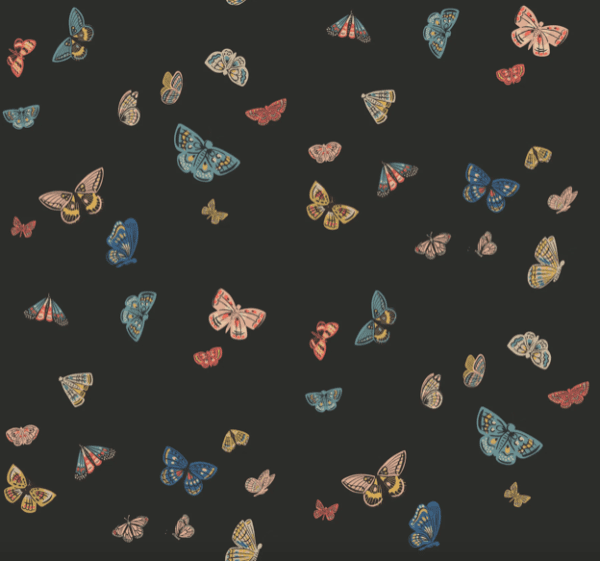 Colorful butterflies on dark background.