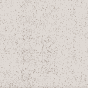 Light gray textured background image.
