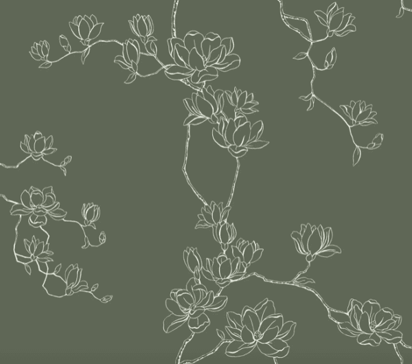 White magnolia blossoms on olive green.