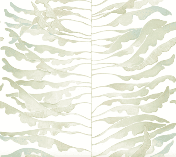 Pale green seaweed frond illustration.