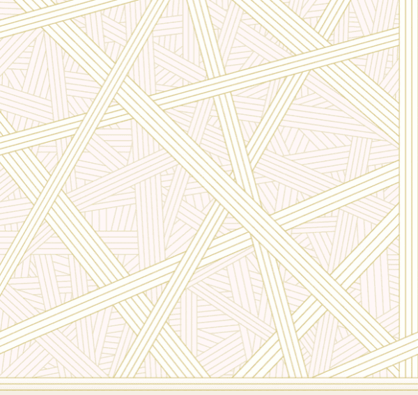 Abstract geometric line art pattern.