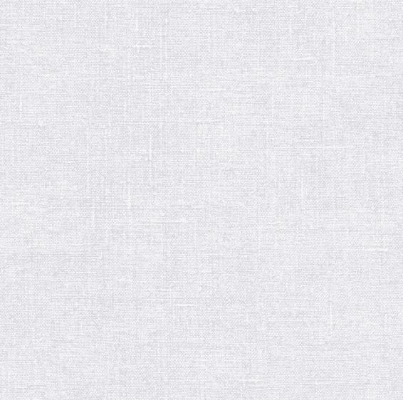 Light gray linen texture background.